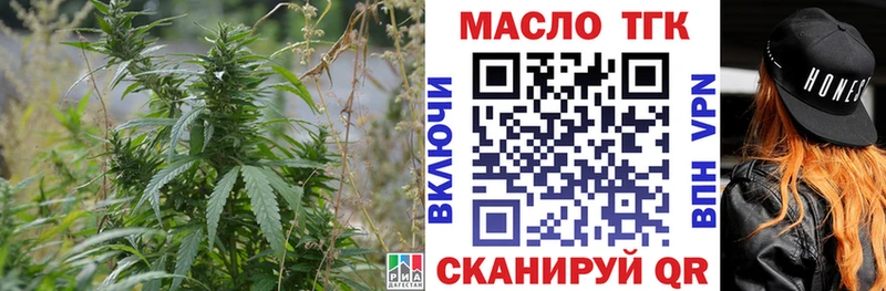 мориарти клад  Жуковский  ТГК концентрат 