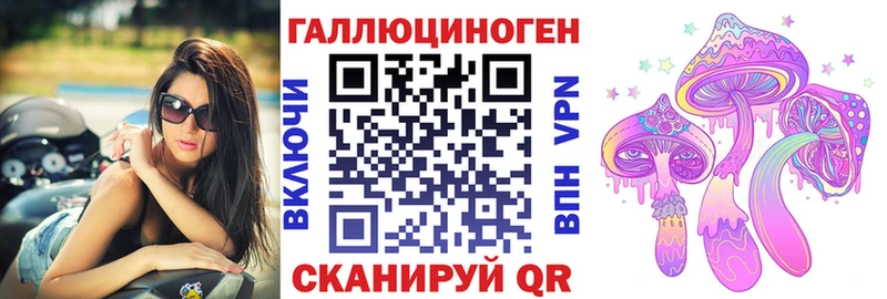 купить наркотик  Жуковский  Галлюциногенные грибы Psilocybine cubensis 